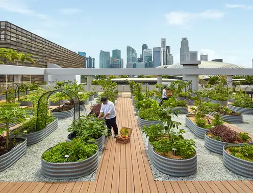 A Year Since Launch, Global Hotel Alliance