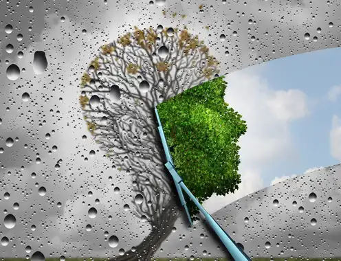 The Rise of Regenerative Hospitality - Welcome to the Future