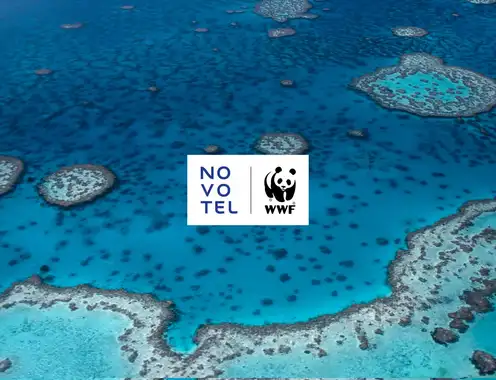 Novotel Celebrates One Year of Ocean Commitment and Sustainable Partnership with WWF