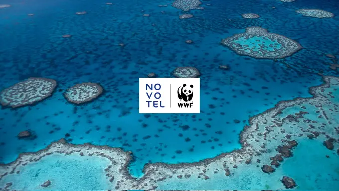 Novotel Celebrates One Year of Ocean Commitment and Sustainable Partnership with WWF
