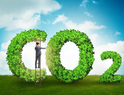 In green we believe: Reducing carbon dioxide (CO2) in sustainable hospitality
