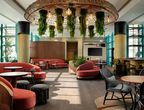 Club Signia (courtesy of the Diplomat Beach Resort)