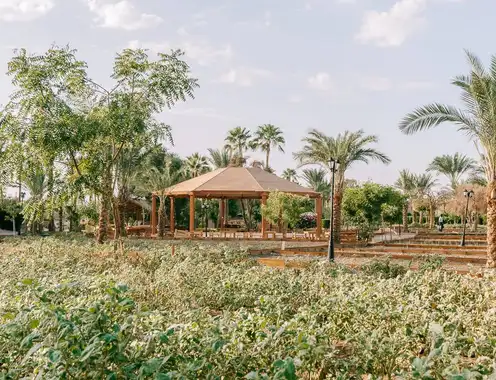 Promoting Responsible Sourcing: Transforming Dining Experiences with Local and Organic Practices