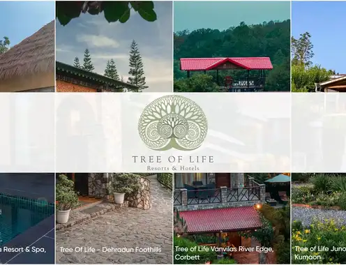 Tree of Life Nashik