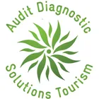 Audit Diagnostic Solutions Tourism