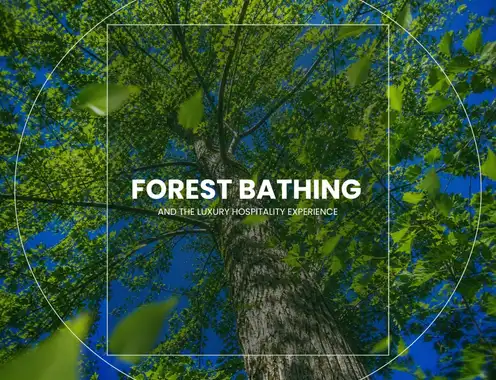 Forest Bathing and the Luxury Hospitality Experience