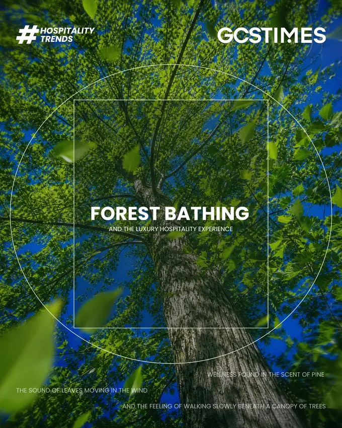 Forest Bathing and the Luxury Hospitality Experience