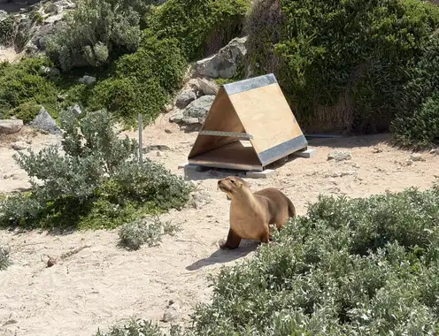 Introducing 'Tomorrow Beckons', a Global Regenerative Travel Program