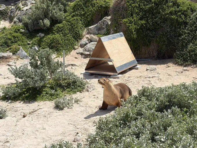 Introducing 'Tomorrow Beckons', a Global Regenerative Travel Program