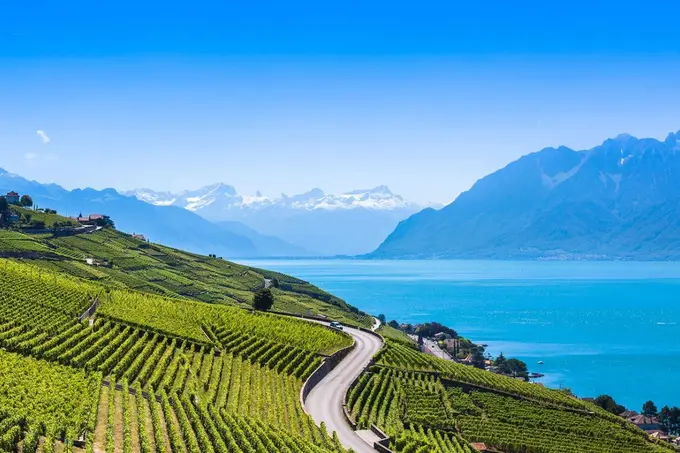 A tour of the Swiss vineyards with wine specialist, Chandra Kurt