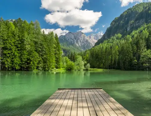 Deep Integration of Medical Wellness and Longevity