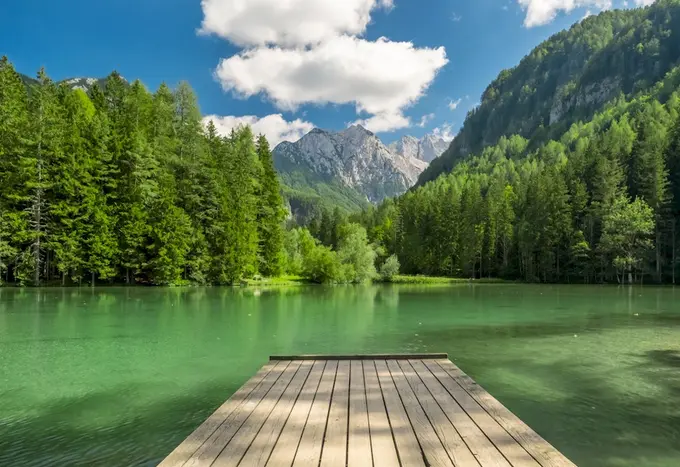 Deep Integration of Medical Wellness and Longevity