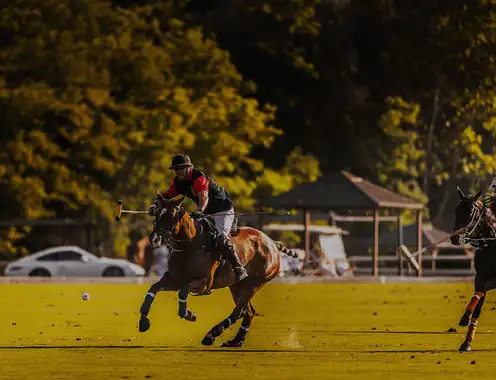 Kings Polo, Cairo, Egypt