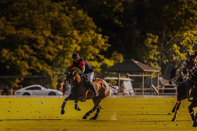Kings Polo, Cairo, Egypt ......