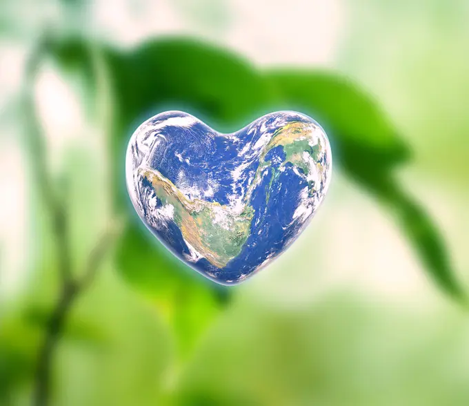 Hotels on the way to net zero