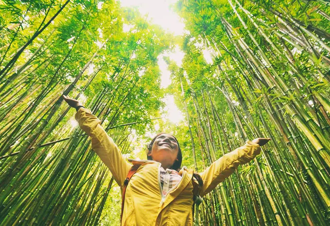Is 2020 the Year of Sustainable Business in Hospitality?