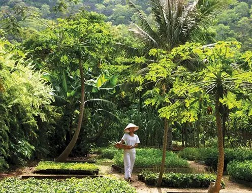 Six Senses properties certified by Control Union, a GSTC-Accredited Certification Body