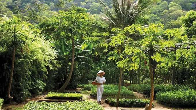 Six Senses properties certified by Control Union, a GSTC-Accredited Certification Body