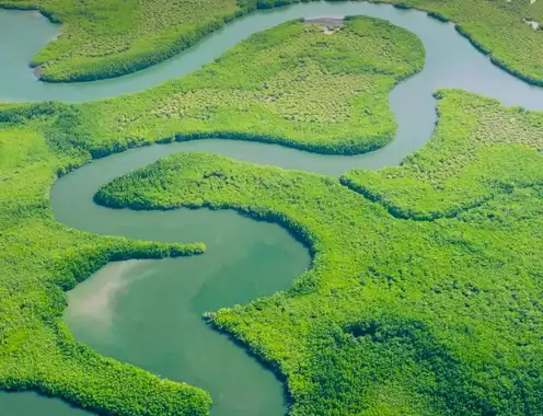 COP30 to Feature Tourism Thematic Days: Advancing Climate Action Through Collaboration and Regeneration