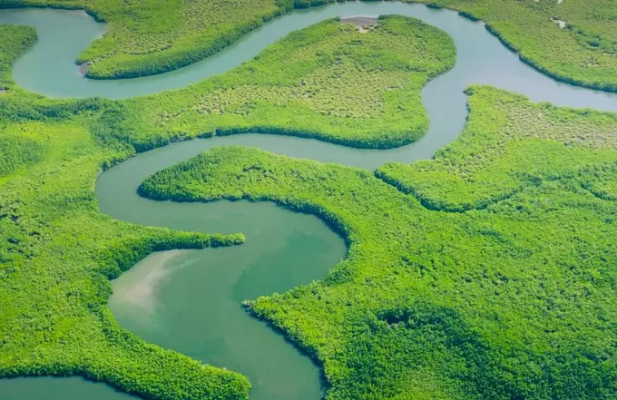 COP30 to Feature Tourism Thematic Days: Advancing Climate Action Through Collaboration and Regeneration