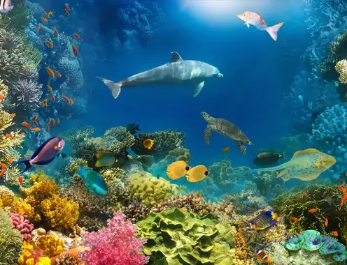 Interview: What Ocean Wisdom Can Teach Hospitality Leaders - A Conversation with Professor Ioannis S. Pantelidis