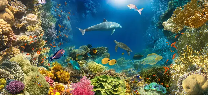 Interview: What Ocean Wisdom Can Teach Hospitality Leaders - A Conversation with Professor Ioannis S. Pantelidis