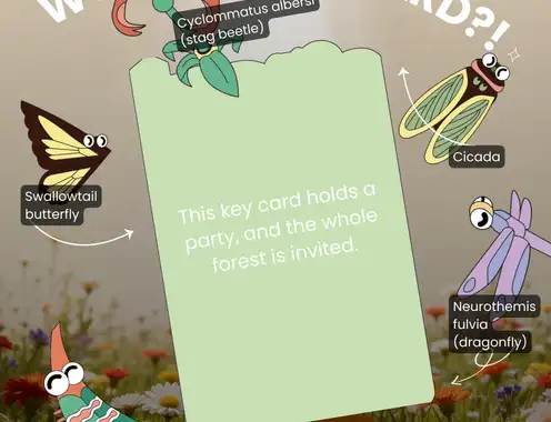 Designing a Key Card Inspired by Insect Worlds