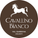 Cavallino Bianco