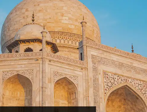 India Market Outlook: Reinvention drives growth