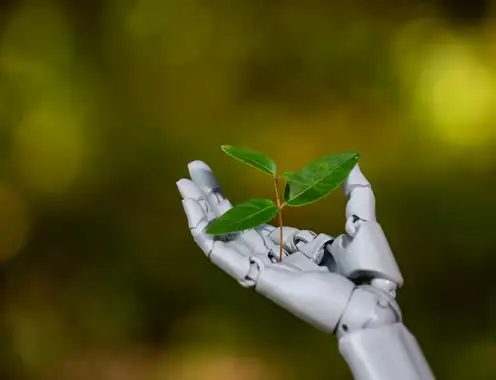 Sustainable Innovations for Hospitality Properties