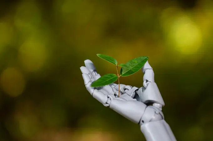 Sustainable Innovations for Hospitality Properties
