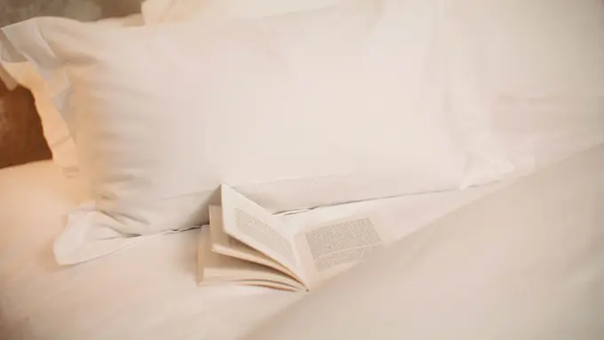 First night effect: Sofitel commissioned a scientific research to perfect the Art of Sleep