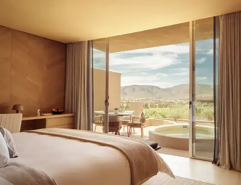 Banyan Tree Veya Valle de Guadalupe