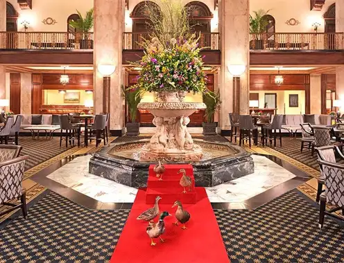 The Peabody Getting its Ducks in a Row via NEW Financial Budgeting & Forecasting Solution