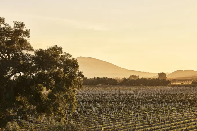 Montage Valle de Guadalupe ......