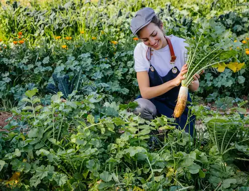 Less Waste, More Taste: Six Senses Joins the UNEP and UN Tourism “Recipe of Change”