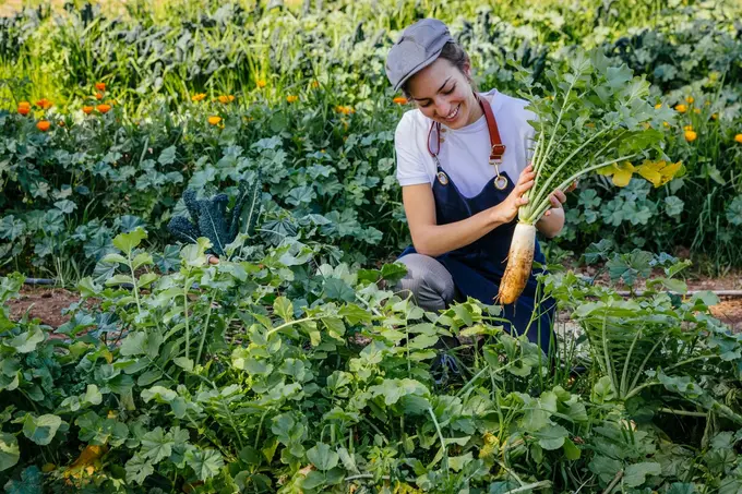 Less Waste, More Taste: Six Senses Joins the UNEP and UN Tourism “Recipe of Change”