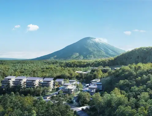Hanazono Aerial 2 Nik High Res 5K  Thumbnail 3