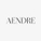 AENDRE Group