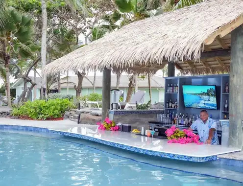 Km 07536 New Harmony Swim up Bar10 26