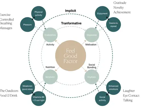 The Feel-Good Effect: Designing Landscapes that Heal Habitually