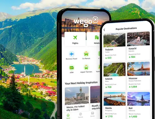Wego Data: Hotels Capture 37.3% of Saudis