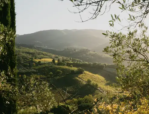 La Darbia Chianti