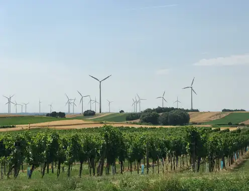 EU Green Deal: A Growth Strategy for New Economic and Business Models
