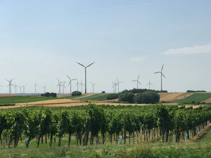 EU Green Deal: A Growth Strategy for New Economic and Business Models