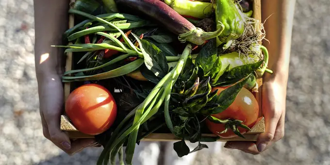 Food waste: AI supporting Accor hotels