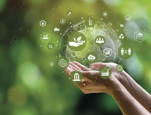Strategic Sustainability & Collaboration: The Power of Ecosystem Position