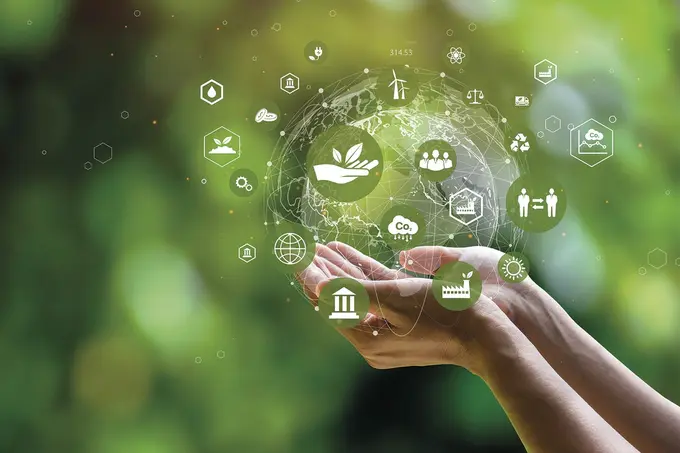 Strategic Sustainability & Collaboration: The Power of Ecosystem Position