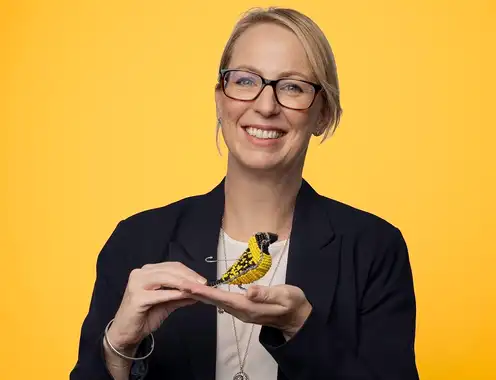 The Importance of data in Sustainability