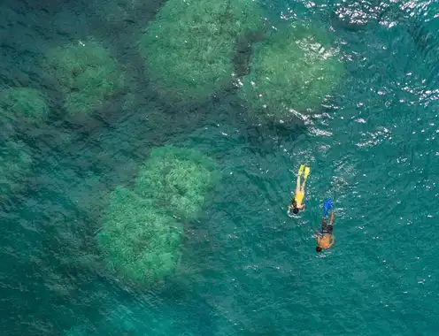 Innovation in Loyalty: Four Ways Accor Enables its Clients to Make a Positive Impact